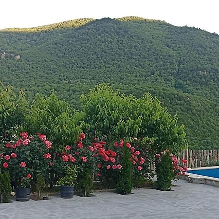 Green Garden Կանաչ Այգի Ijevan Εξωτερικό φωτογραφία