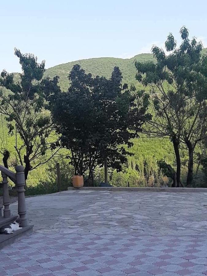 Green Garden Կանաչ Այգի Ijevan Εξωτερικό φωτογραφία