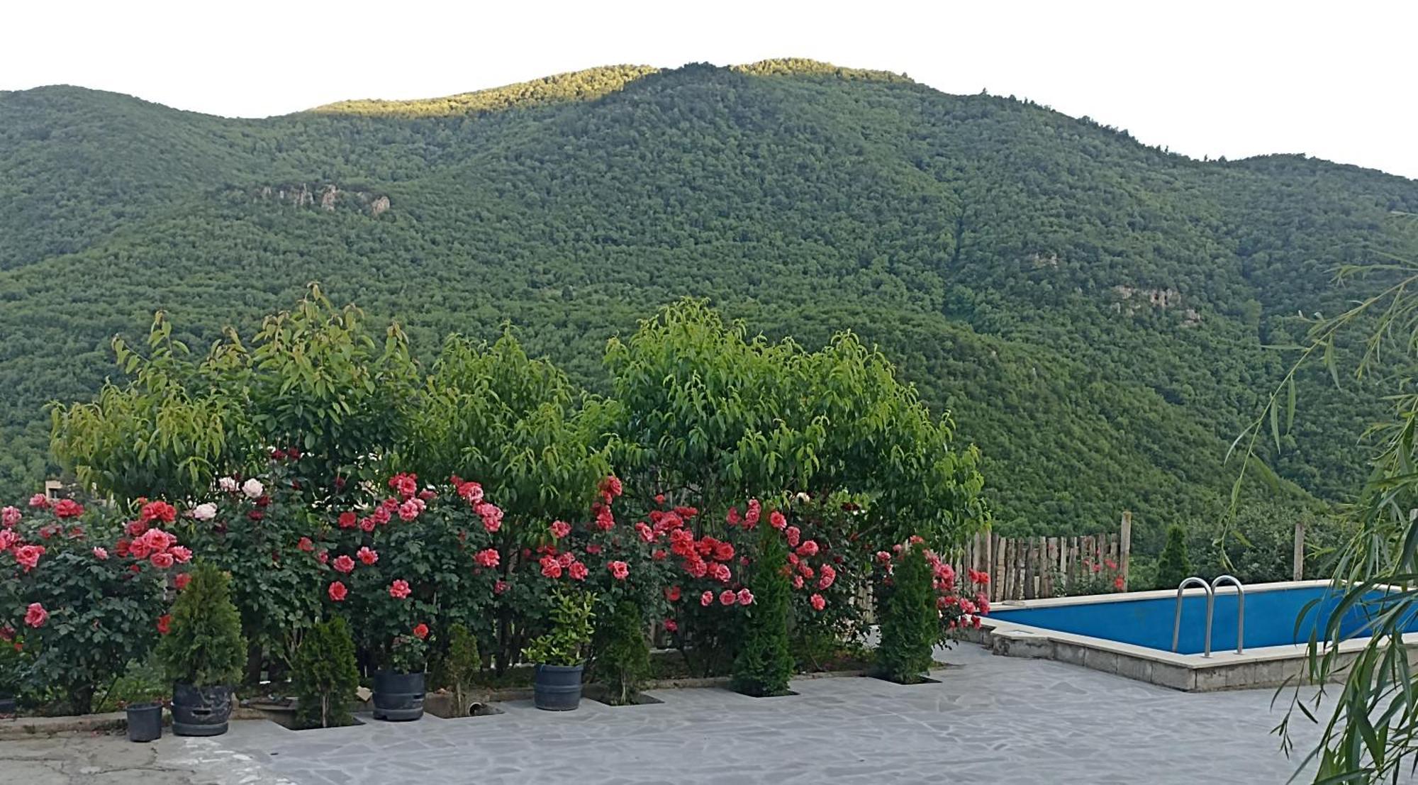 Green Garden Կանաչ Այգի Ijevan Εξωτερικό φωτογραφία