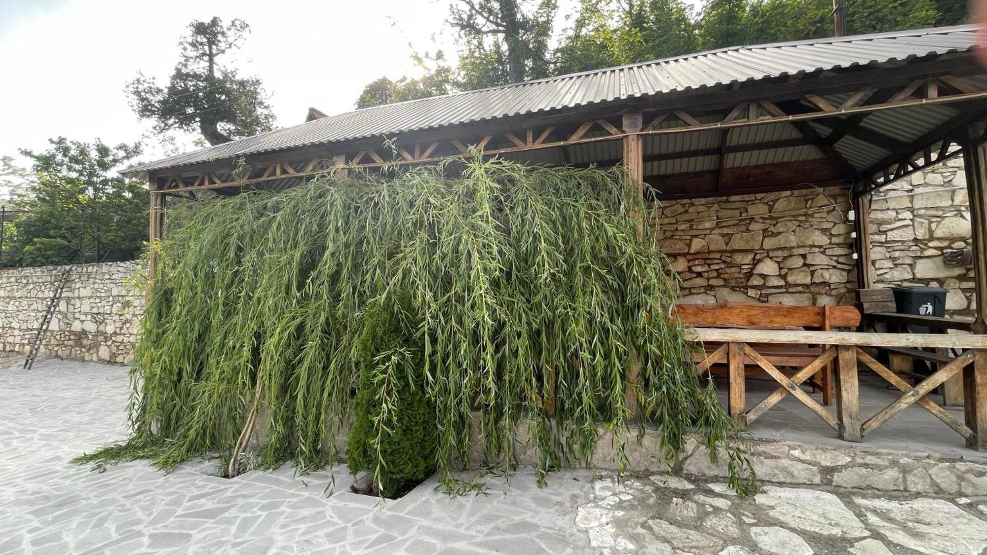 Green Garden Կանաչ Այգի Ijevan Εξωτερικό φωτογραφία