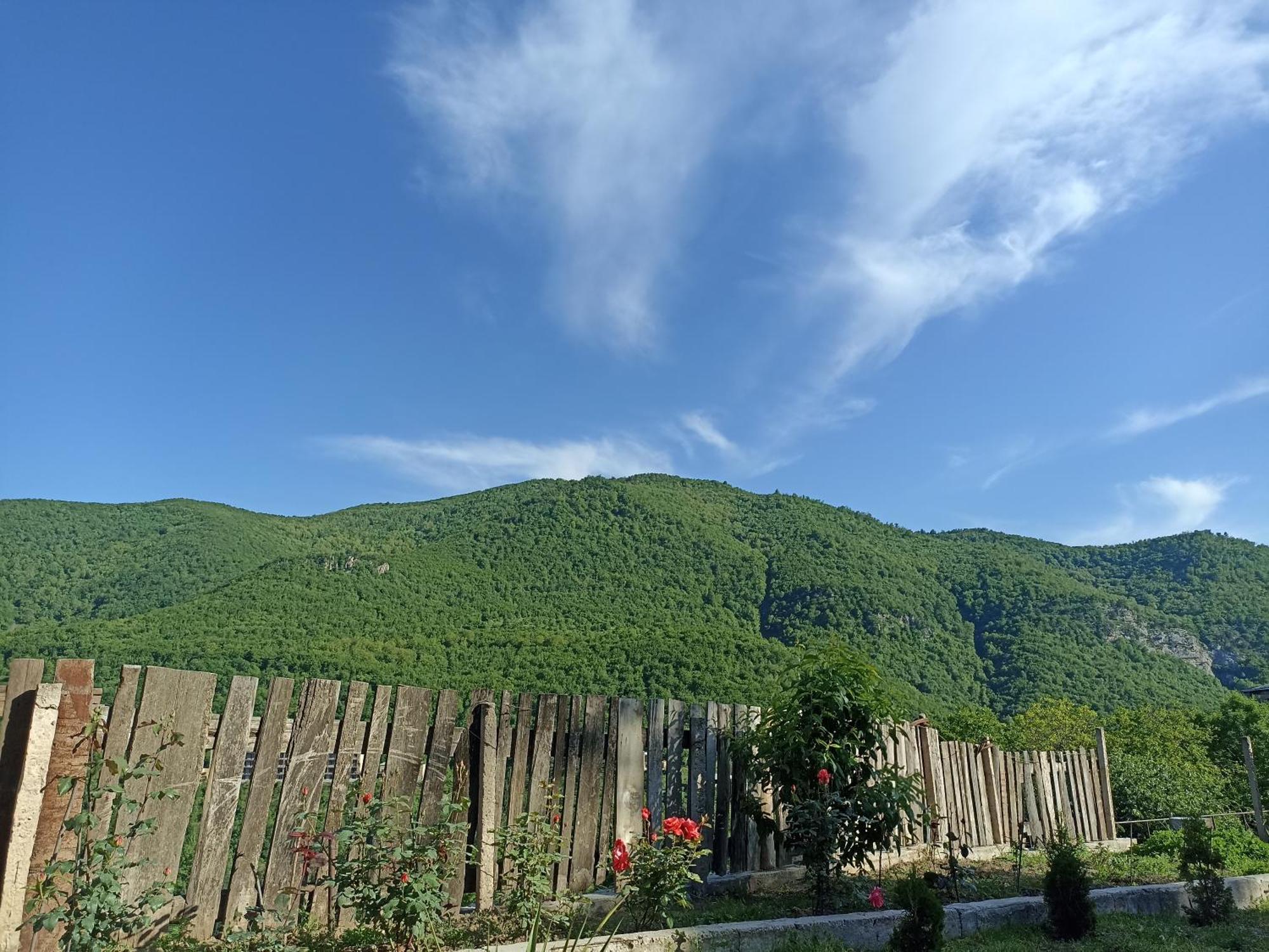 Green Garden Կանաչ Այգի Ijevan Εξωτερικό φωτογραφία