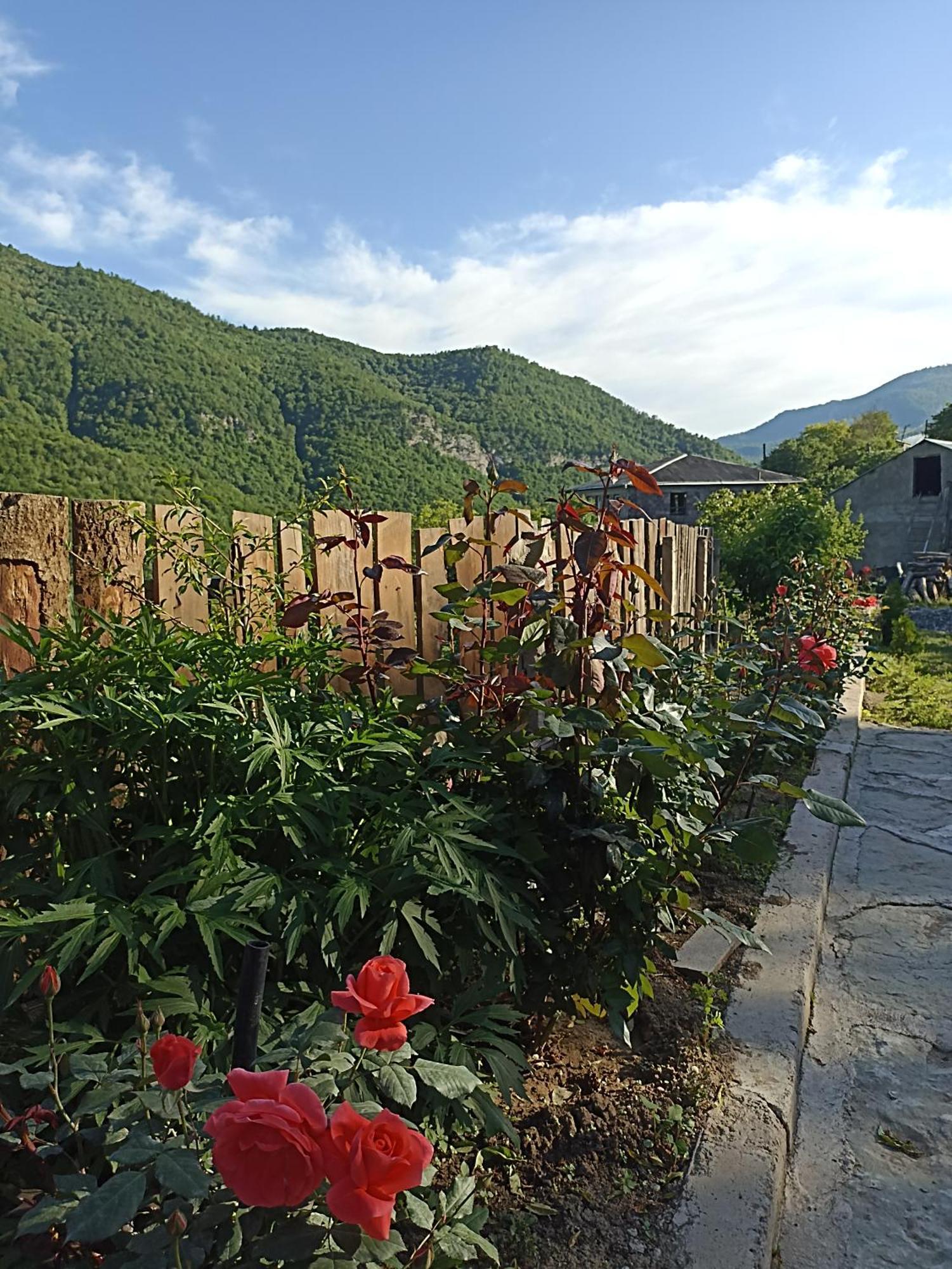 Green Garden Կանաչ Այգի Ijevan Εξωτερικό φωτογραφία