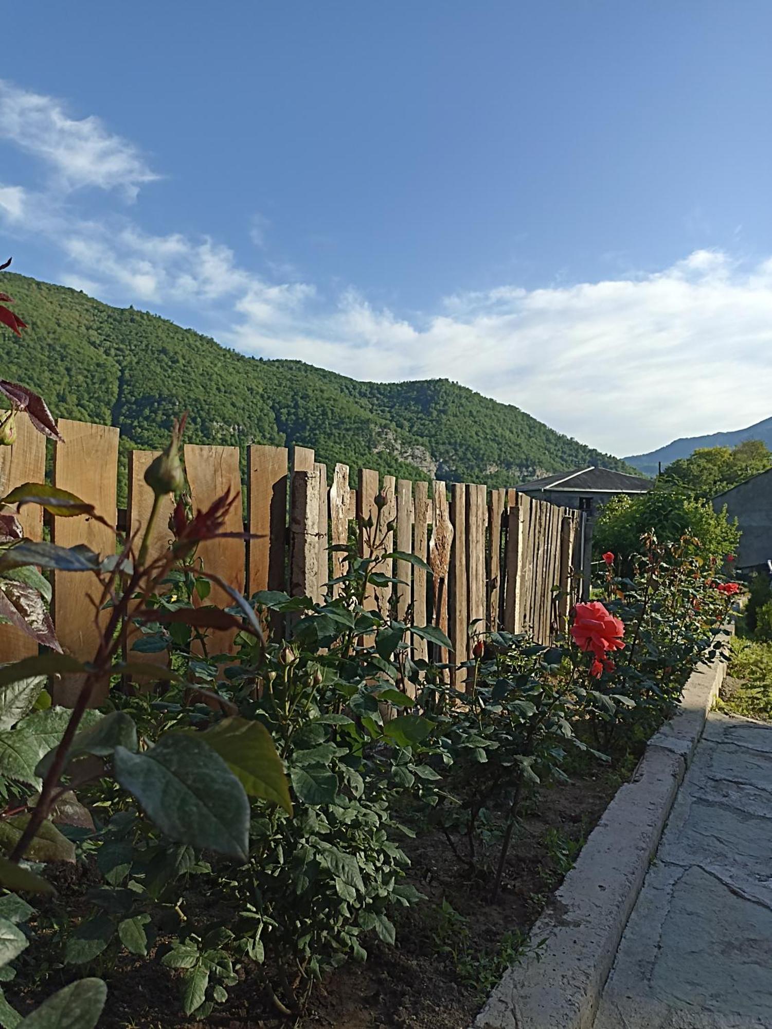 Green Garden Կանաչ Այգի Ijevan Εξωτερικό φωτογραφία
