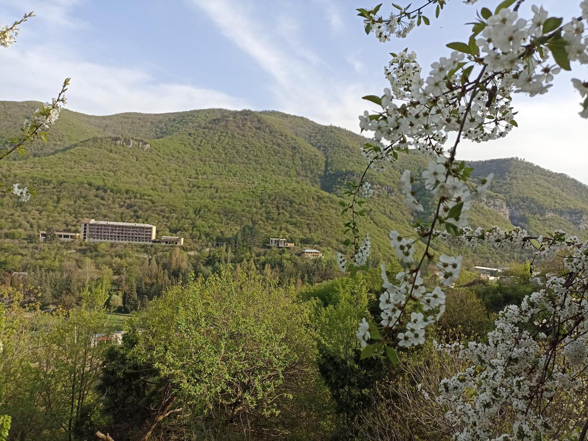 Green Garden Կանաչ Այգի Ijevan Δωμάτιο φωτογραφία